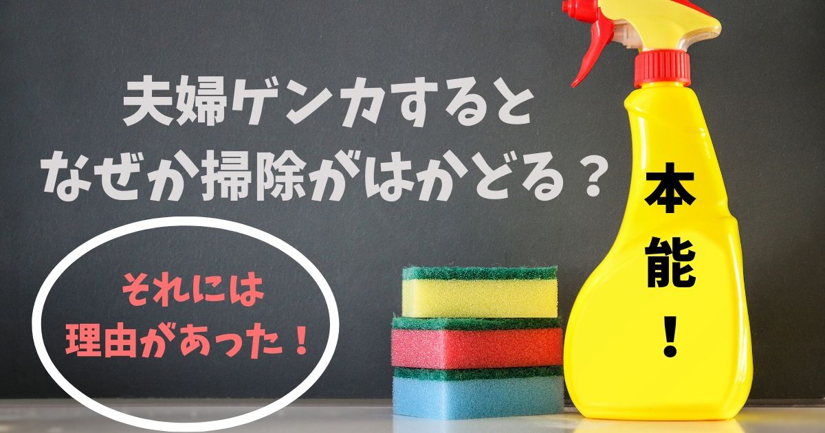 夫婦喧嘩すると掃除がはかどるのは本能だった イライラが掃除に向かう理由 ストレスは有効活用 くらし百科事典