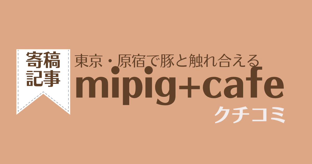 東京・原宿でマイクロブタと触れ合えるカフェ！mipig+cafe口コミ　